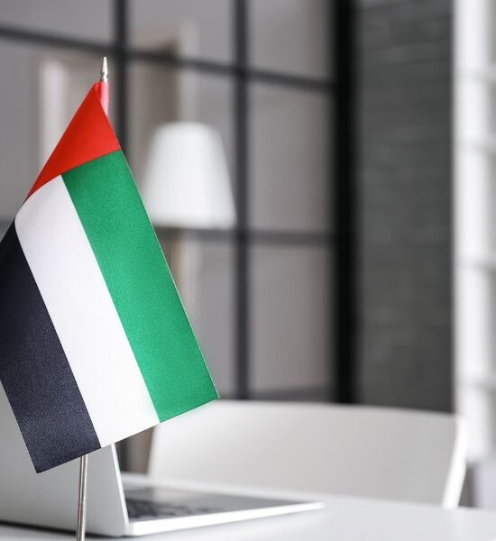 Force Majeure and UAE Tax: What the Courts Have Said